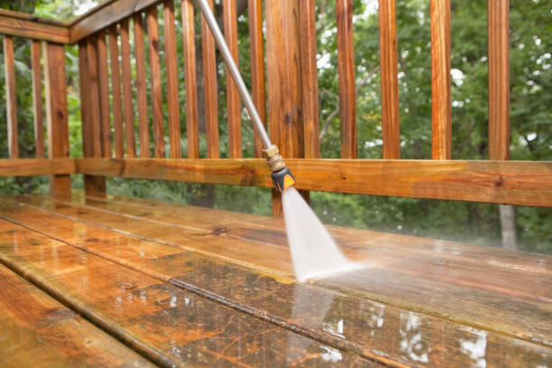 Best Building Exterior Washing  in Essex, MD