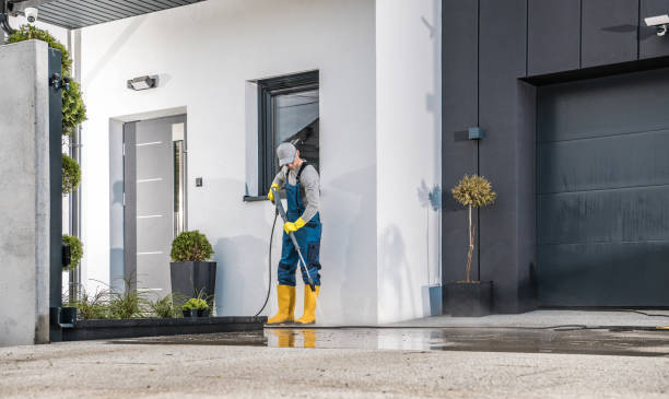 Best Roof Washing  in Essex, MD